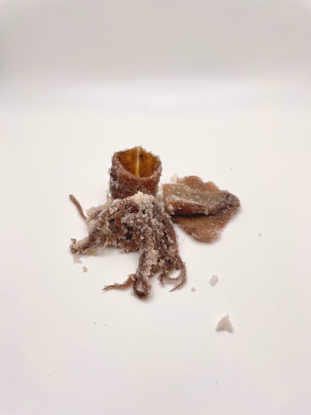 Salted squid surf fishing bait