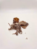 Salted squid surf fishing bait