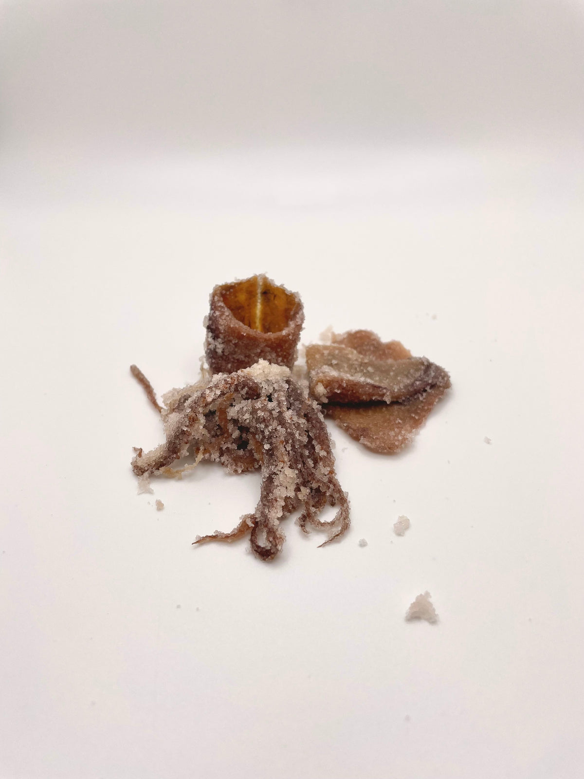Salted squid surf fishing bait
