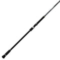 Daiwa Blackline XT surf spinning rod